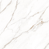 CALACATTA LIGHT 120x278cm 09mm – Book-Match Glossy Porcelain Tile