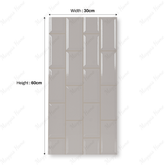 White 25L Civory 30x60cm 09mm Porcelain Tile