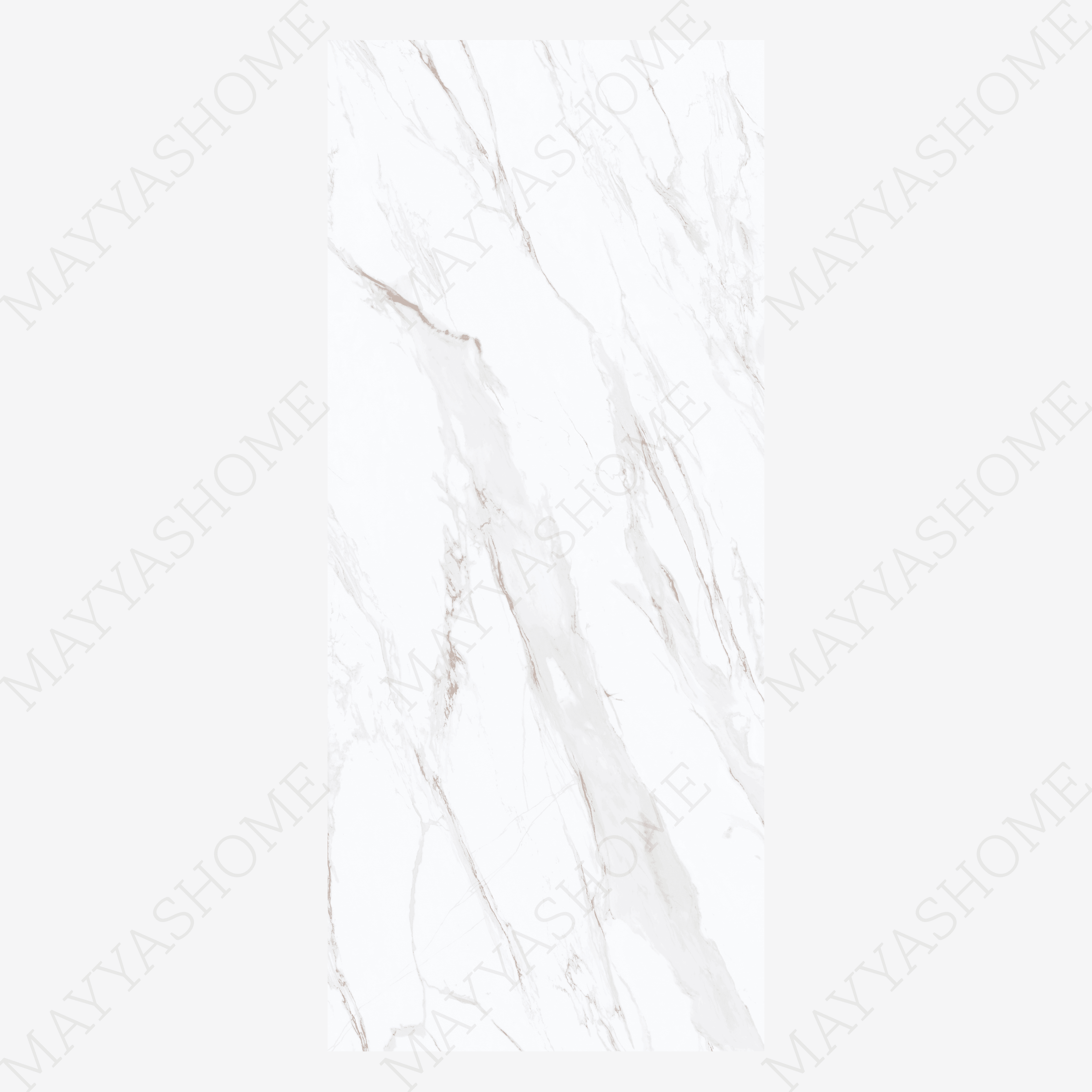CALACUTTA GOLD 120x278cm marble look tile with exquisite veining and a luxurious glossy finish. A premium large format tile for elegant interiors.