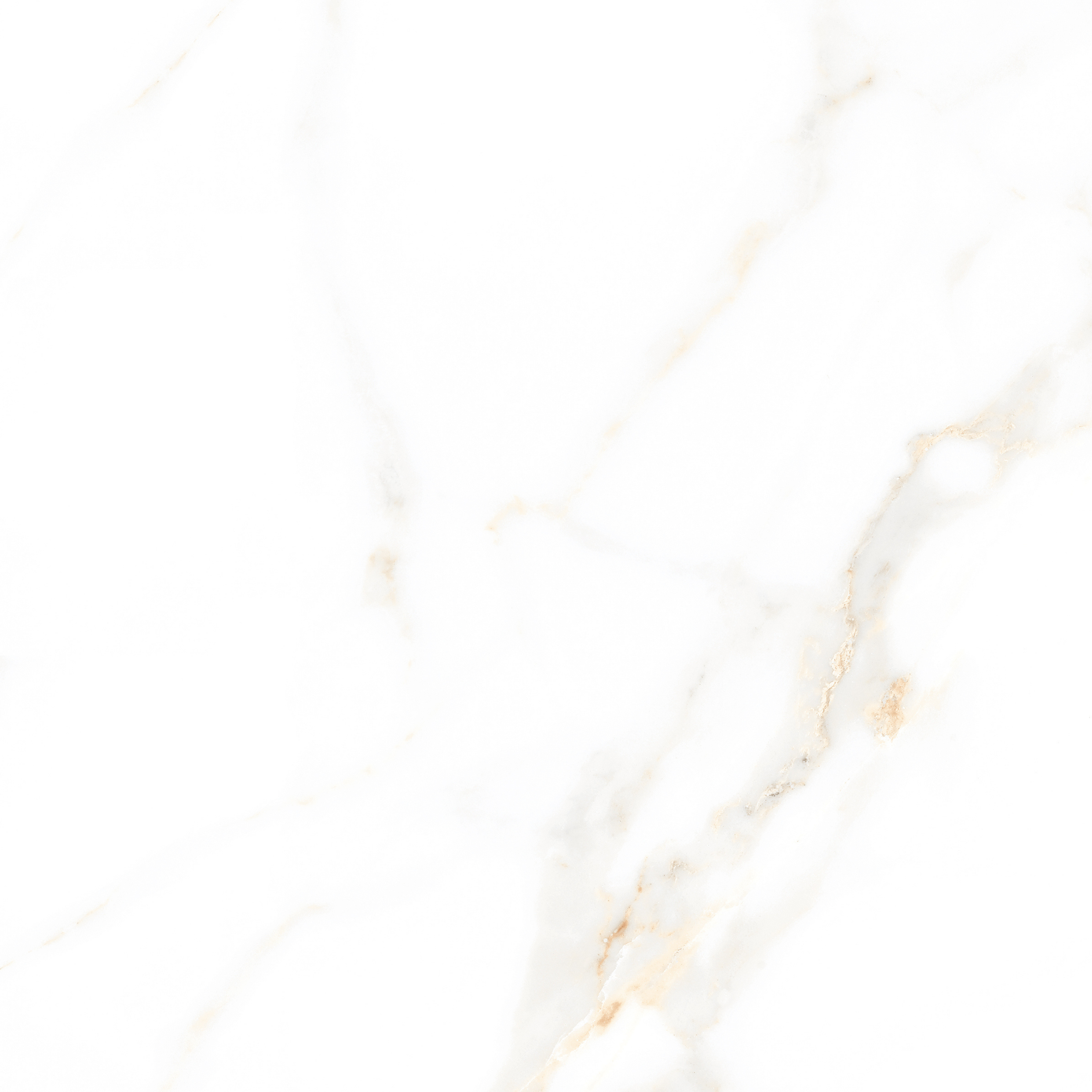 CECILA GOLD – 120x120cm glossy porcelain tile with elegant gold marble design. Large format tile perfect for luxurious flooring and wall applications.