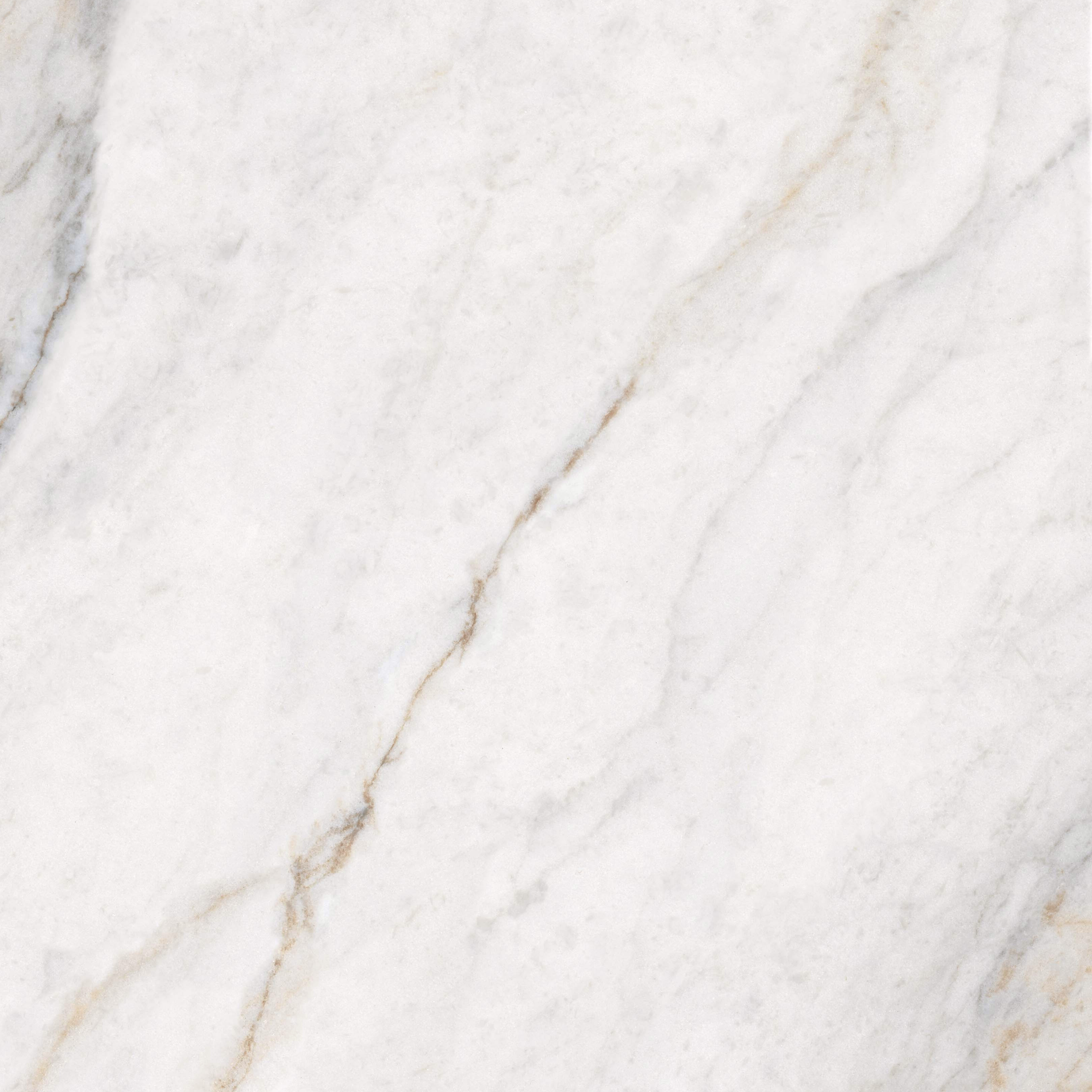 Placia Bianco book-match glossy porcelain tile 120x280cm. Elegant white with grey veining, 09mm thick, perfect for luxury walls and interiors