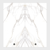 Aurora Statuario 160x320cm Book-Match Feel Matt Porcelain Slab