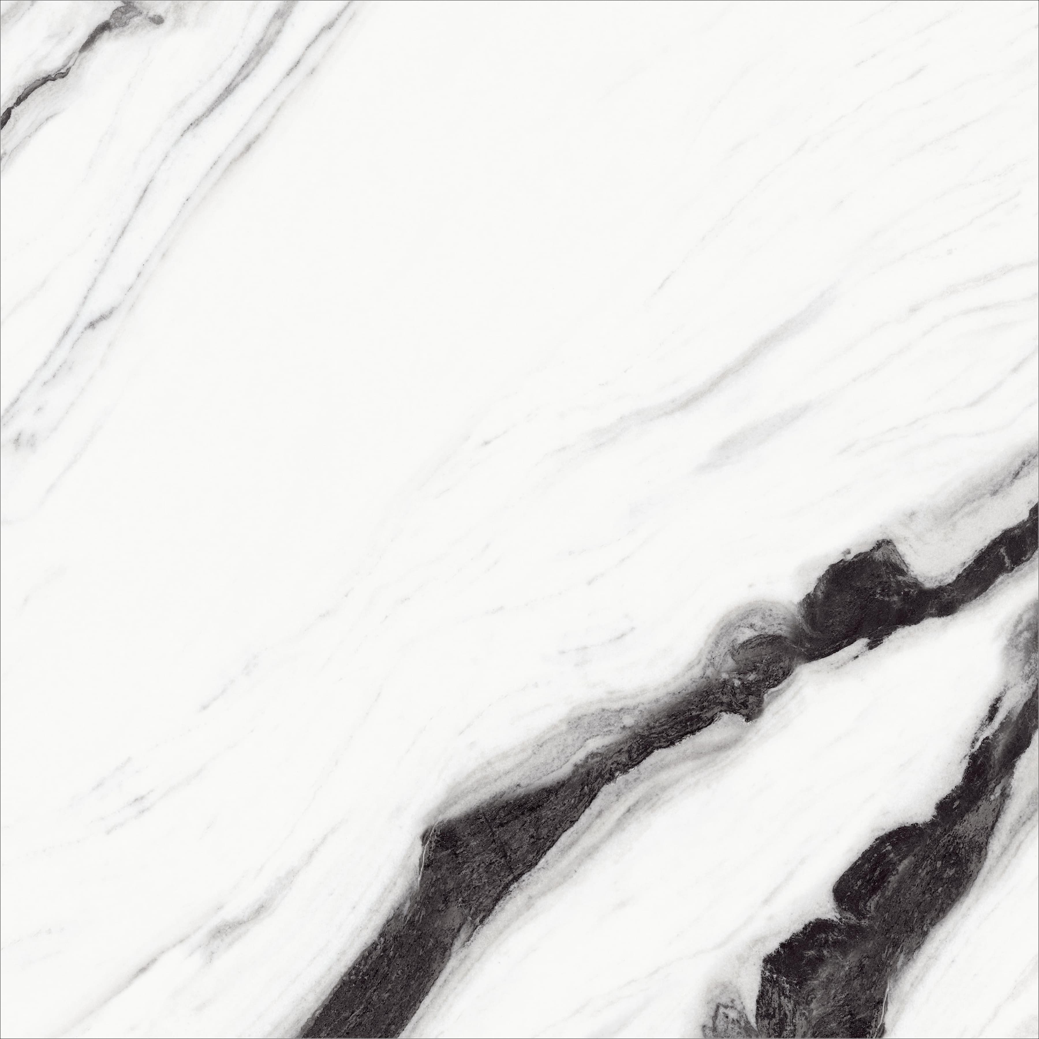 Close-up of HJD19753H slab showing striking black marble vein pattern