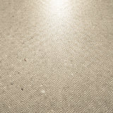 Close-up of Element Arsenica Ivory porcelain slab showing refined ivory surface with delicate mineral speckle and warm neutral undertones