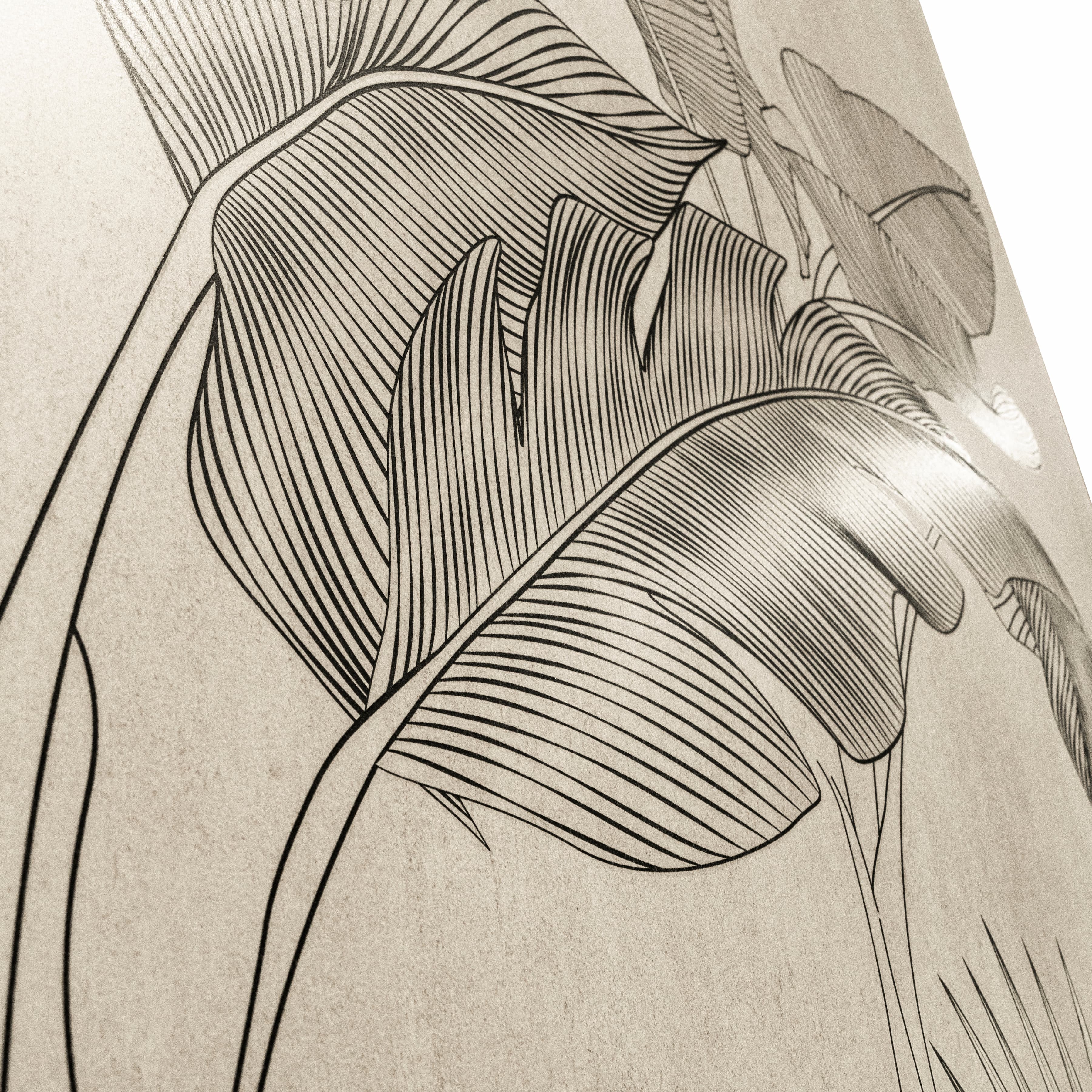 Close-up of Hordix Crema Decor Matte porcelain slab showing fine line-drawn banana leaf and palm detail on textured cream surface