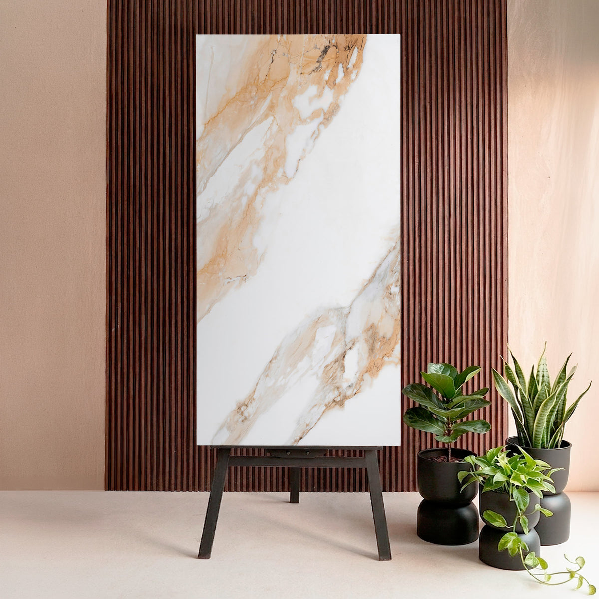 أسود لامع