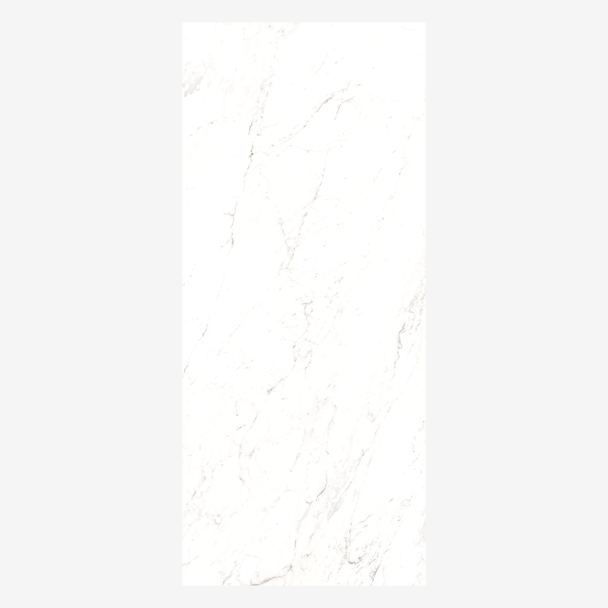 CARRARA NATURAL 120x278cm Carrara marble look tile with soft veins and a stunning glossy finish. A premium large format tile for luxurious interiors.
