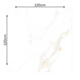 Cecelia Gold 120x120cm matt porcelain tile with soft cream base and golden veining. Elegant, durable, and ideal for modern luxury interiors.