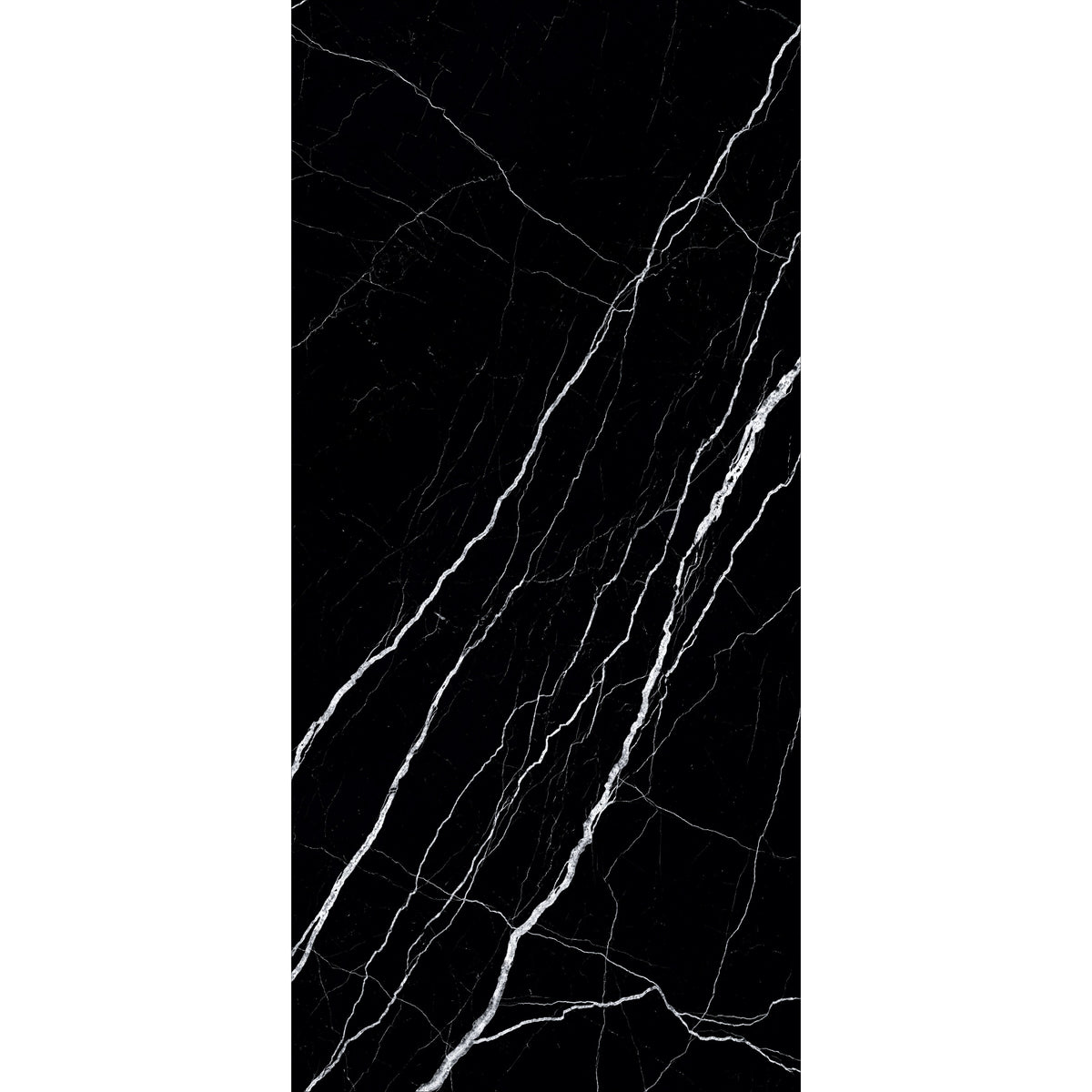 ماركينا فولمين (حجز مباراة)