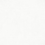 Polo White 120x120cm matt porcelain tile with subtle textures. Durable, elegant, and perfect for modern floors and walls.