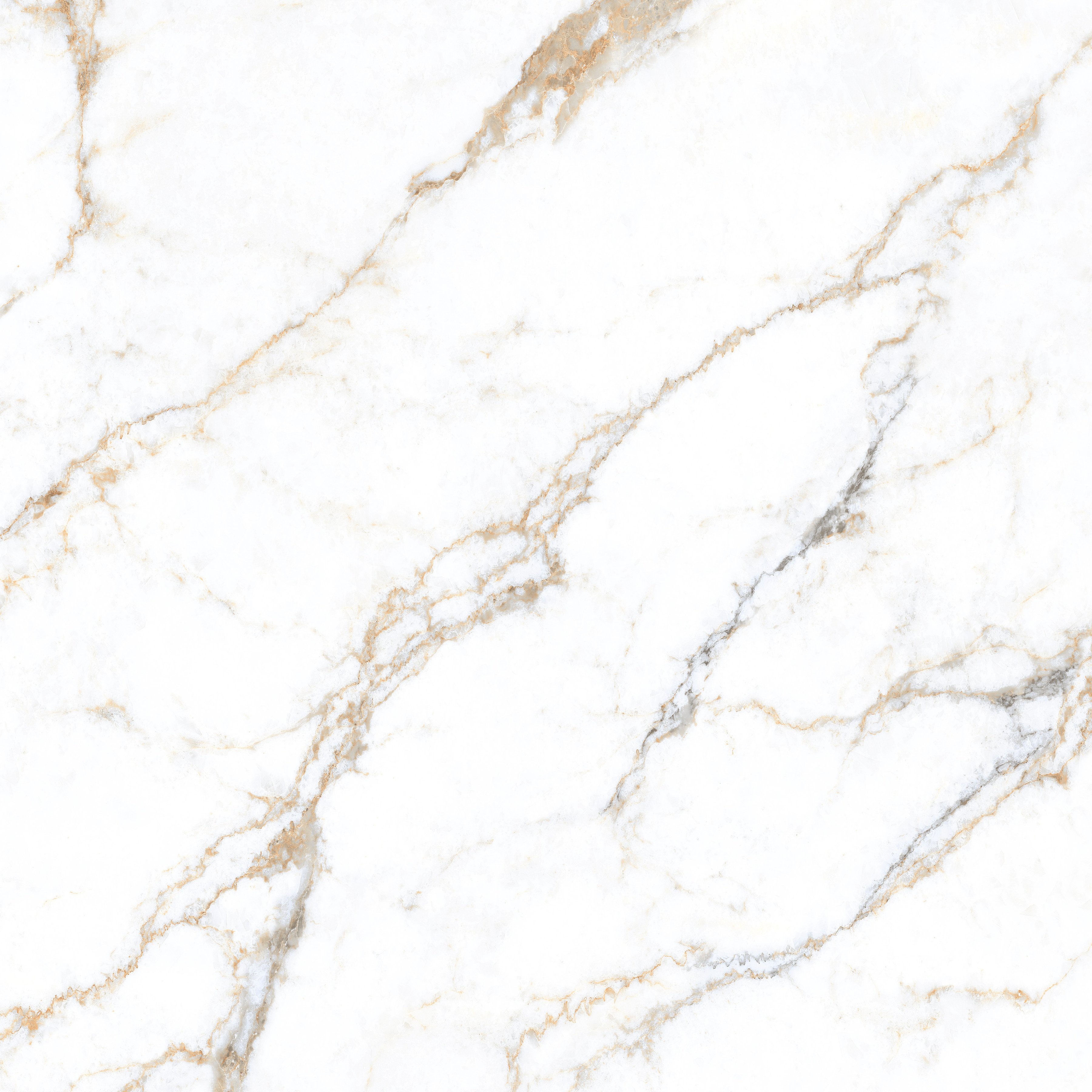 Shop SIGNORA large format porcelain tiles (120x120cm) with a 9MM glossy finish and marble effect. Durable, scratch-resistant, and easy to install. Ideal for luxurious residential and commercial interiors.