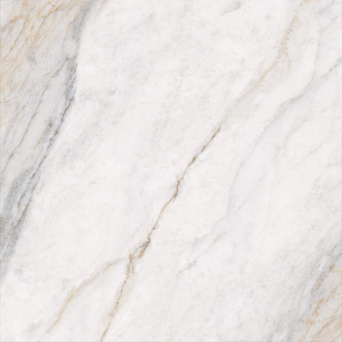 Placia Bianco 120x240cm 09mm – Book-Match Glossy Tile