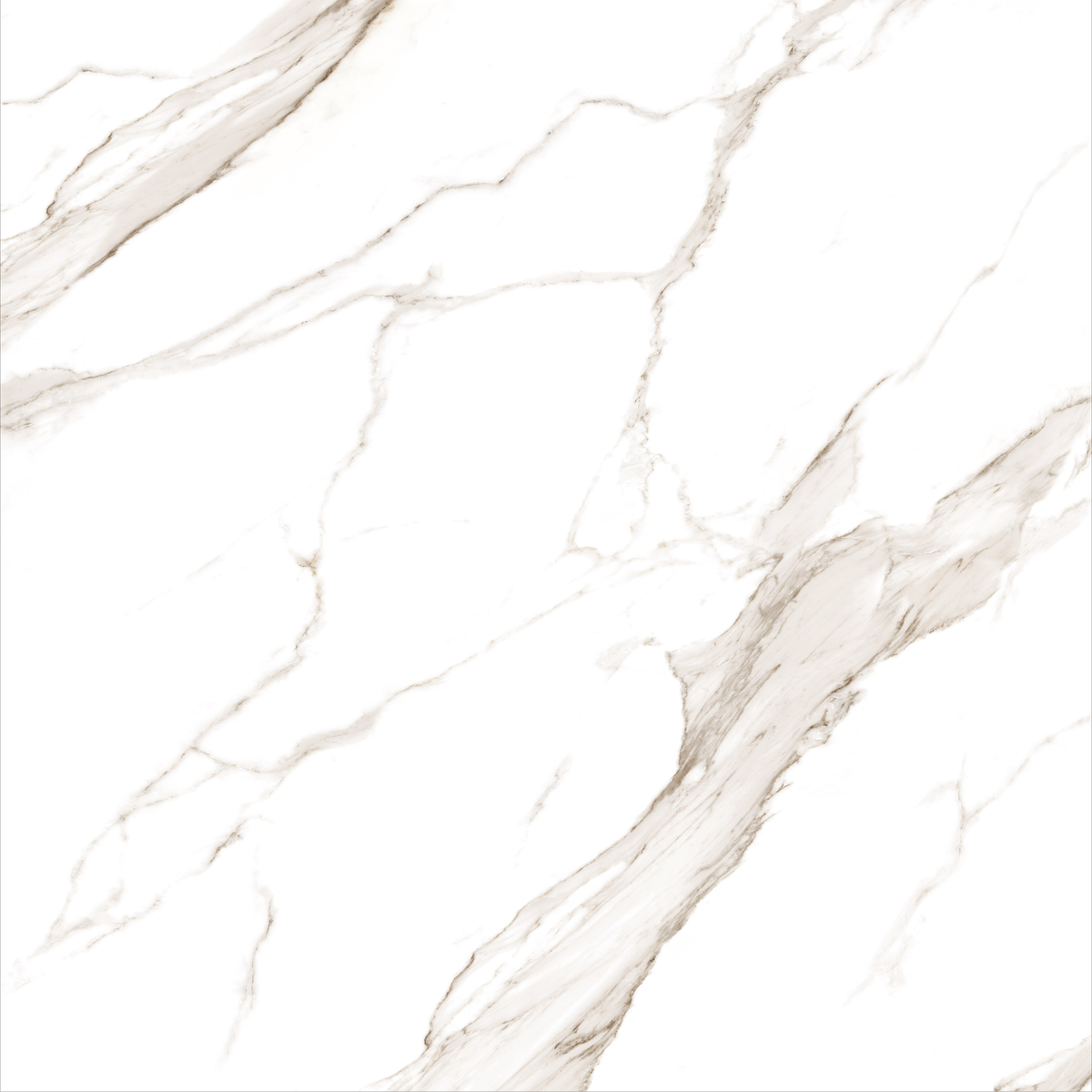 Calacatta Gold 120x240cm 09mm – Book-Match Matt Tile